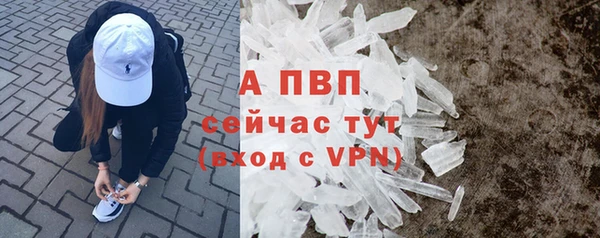 спайс Баксан