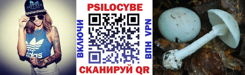 Галлюциногенные грибы ЛСД  дарк нет состав  Свирск  купить  сайты 